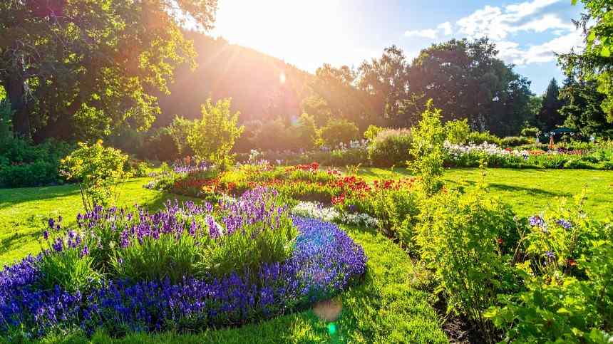 TN Nursery Review: What To Know Before You Buy